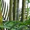 11ft. UV Resistant Artificial Areca Palm Tree (Indoor/Outdoor)